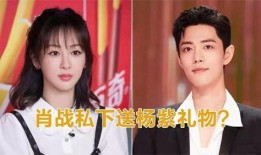杨紫和肖战私下最新爆料,揭秘娱乐圈背后的真实故事